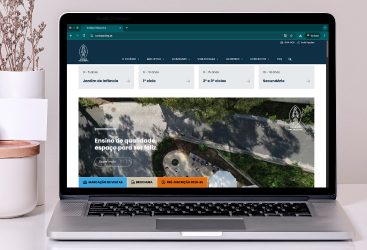 Novo Site Valsassina