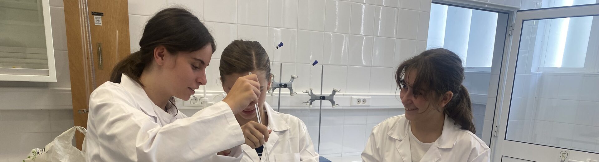 laboratorio secundario 4