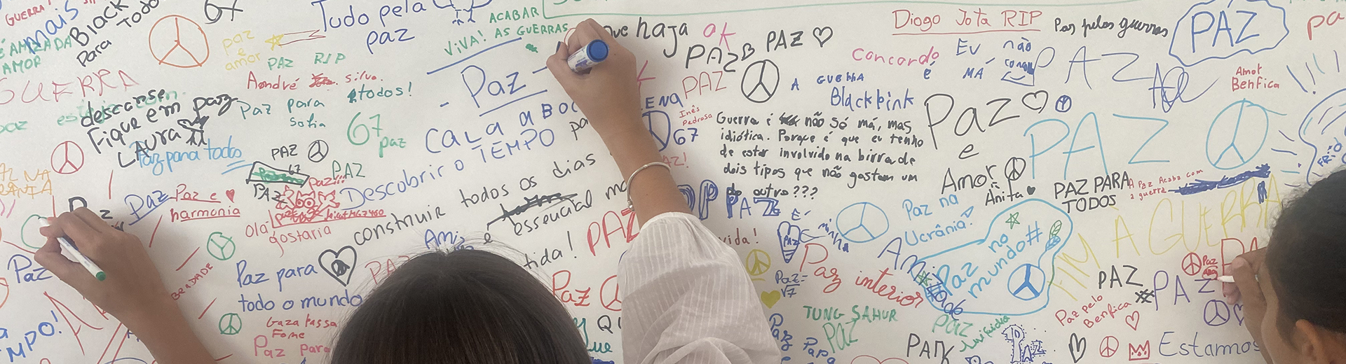 canal irregularidades