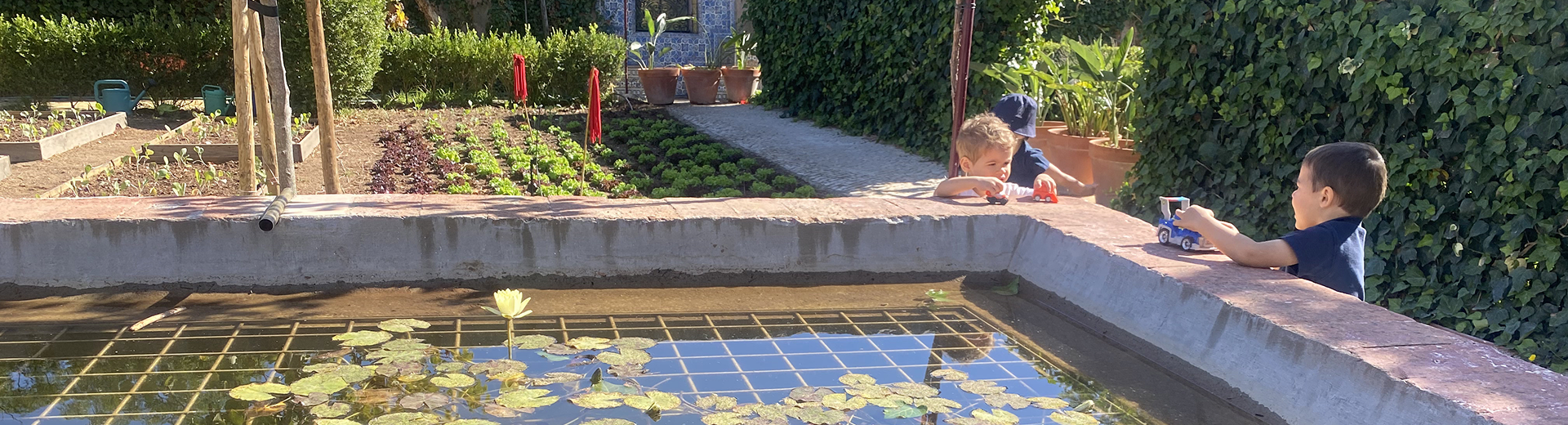 Documentos e Informação Legal