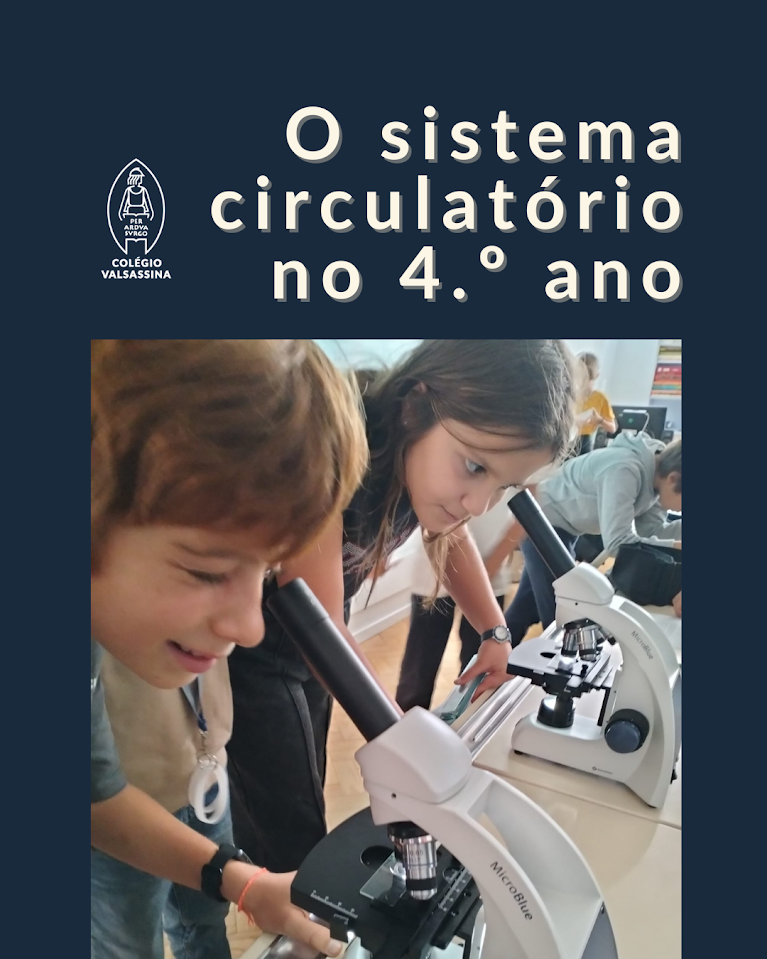 Sistema Circulatório
